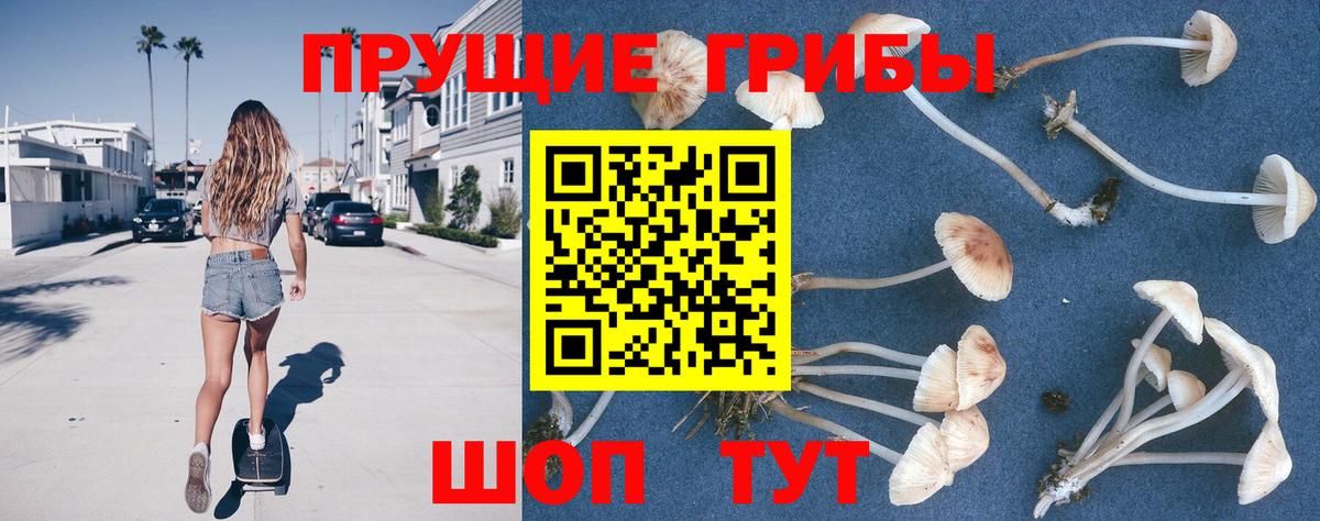 Галлюциногенные грибы GOLDEN TEACHER Чапаевск