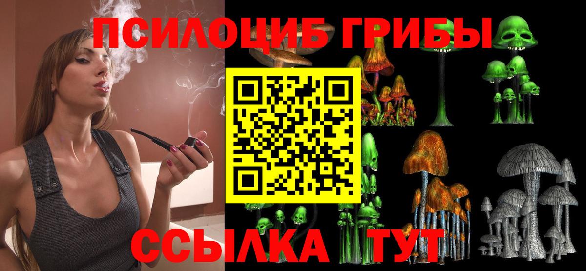 как найти наркотики  Вход с VPN  Псилоцибиновые грибы Psilocybe  Чапаевск  Псилоцибиновые грибы GOLDEN TEACHER 
